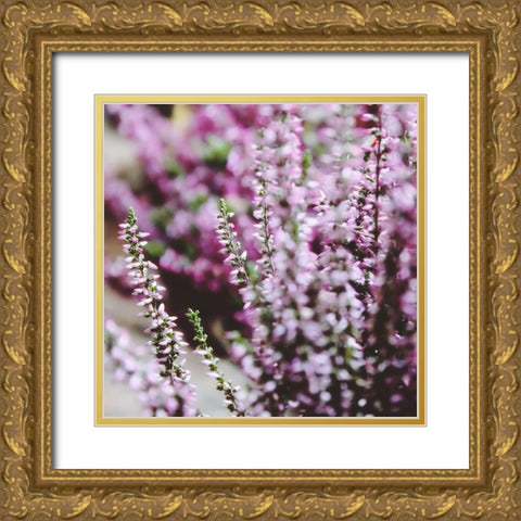 Flower 20 Gold Ornate Wood Framed Art Print with Double Matting by Lee, Rachel