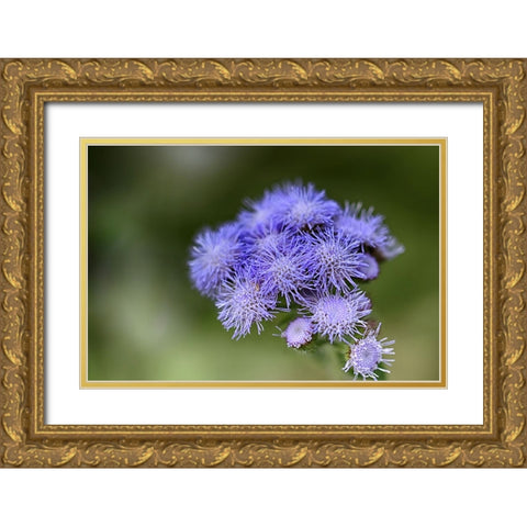 Flower 27 Gold Ornate Wood Framed Art Print with Double Matting by Lee, Rachel