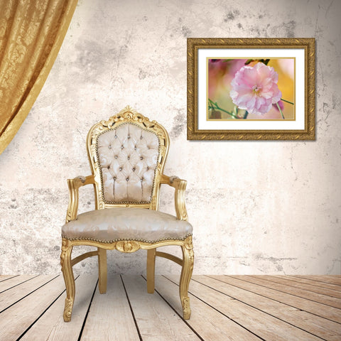 Flower 28 Gold Ornate Wood Framed Art Print with Double Matting by Lee, Rachel