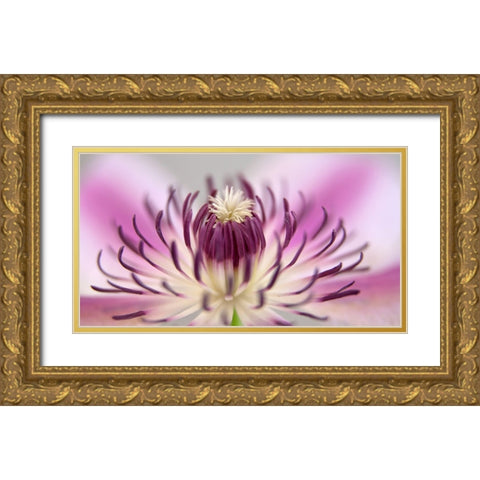 Flower 31 Gold Ornate Wood Framed Art Print with Double Matting by Lee, Rachel