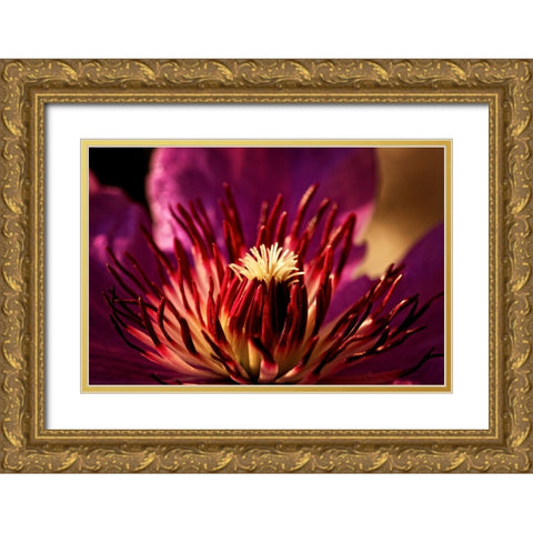 Flower 34 Gold Ornate Wood Framed Art Print with Double Matting by Lee, Rachel