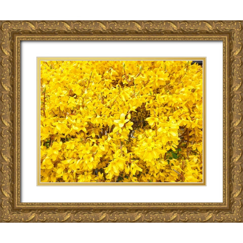 Flower 38 Gold Ornate Wood Framed Art Print with Double Matting by Lee, Rachel