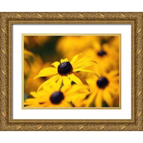Flower 46 Gold Ornate Wood Framed Art Print with Double Matting by Lee, Rachel