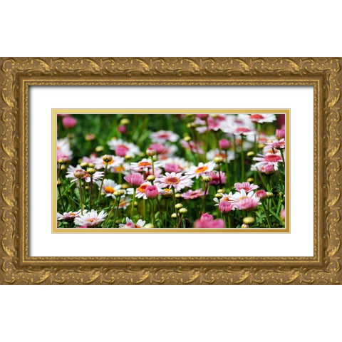 Flower 48 Gold Ornate Wood Framed Art Print with Double Matting by Lee, Rachel