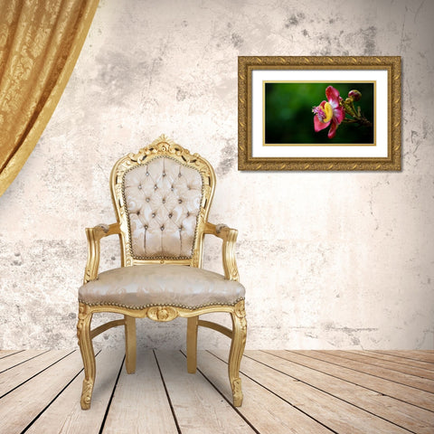 Flower 5 Gold Ornate Wood Framed Art Print with Double Matting by Lee, Rachel