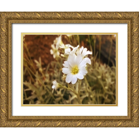Flower 52 Gold Ornate Wood Framed Art Print with Double Matting by Lee, Rachel