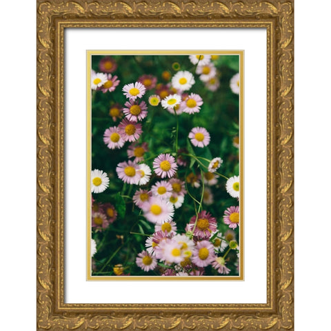 Flower 53 Gold Ornate Wood Framed Art Print with Double Matting by Lee, Rachel