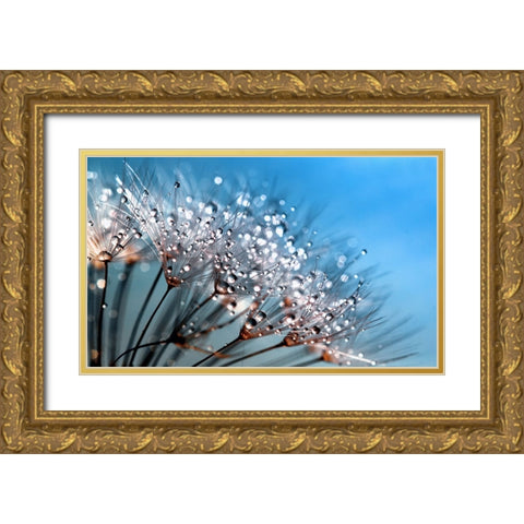 Flower 55 Custom Blue Gold Ornate Wood Framed Art Print with Double Matting by Lee, Rachel