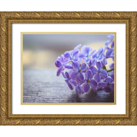Flower 63 Gold Ornate Wood Framed Art Print with Double Matting by Lee, Rachel