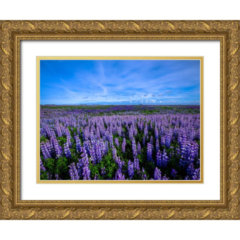 Flower 64 Gold Ornate Wood Framed Art Print with Double Matting by Lee, Rachel