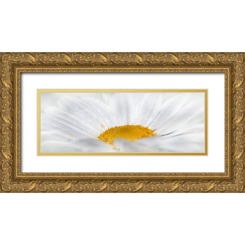 Flower 68 Gold Ornate Wood Framed Art Print with Double Matting by Lee, Rachel