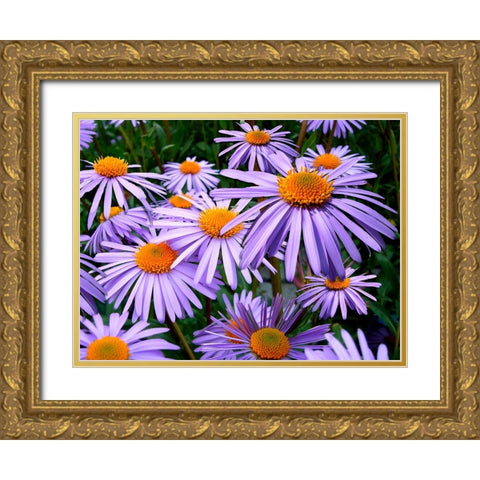 Flower 69 Gold Ornate Wood Framed Art Print with Double Matting by Lee, Rachel