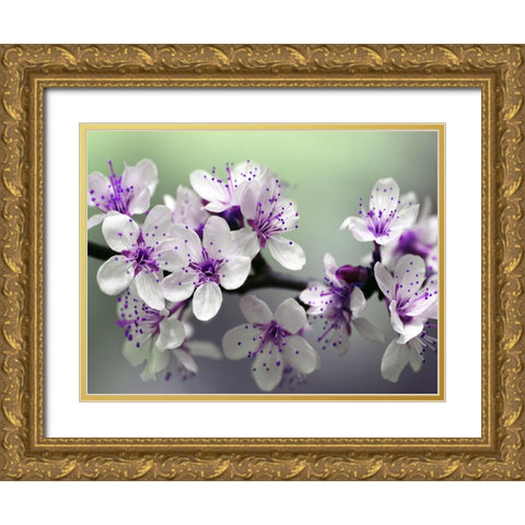 Flower 79 Gold Ornate Wood Framed Art Print with Double Matting by Lee, Rachel