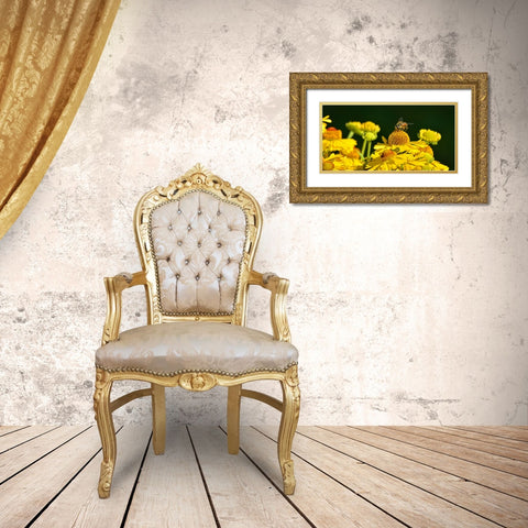 Flower Bee Gold Ornate Wood Framed Art Print with Double Matting by Lee, Rachel