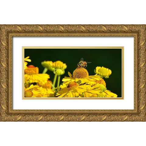 Flower Bee Gold Ornate Wood Framed Art Print with Double Matting by Lee, Rachel