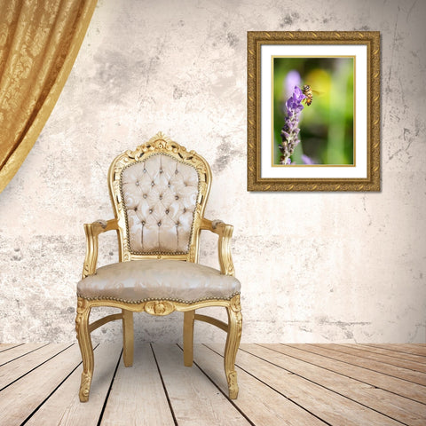 Flower Bee 2 Gold Ornate Wood Framed Art Print with Double Matting by Lee, Rachel