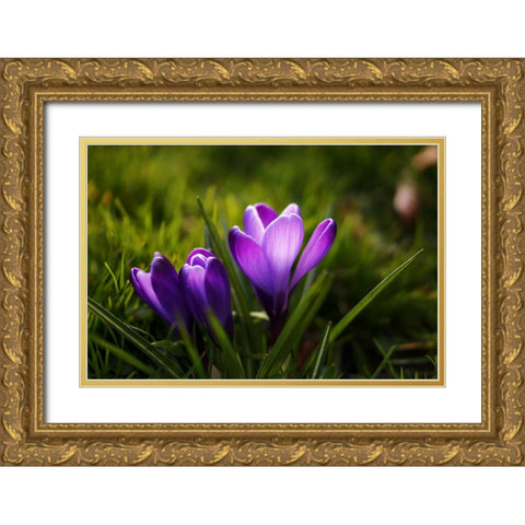 Flower Lilac Gold Ornate Wood Framed Art Print with Double Matting by Lee, Rachel