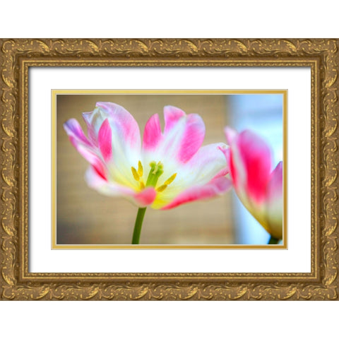 Flower Pink Gold Ornate Wood Framed Art Print with Double Matting by Lee, Rachel