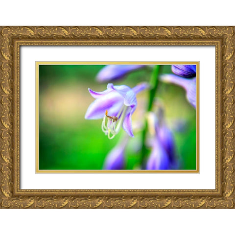 Flower Purple Gold Ornate Wood Framed Art Print with Double Matting by Lee, Rachel