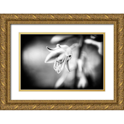 Flower Purple BW Holga Gold Ornate Wood Framed Art Print with Double Matting by Lee, Rachel