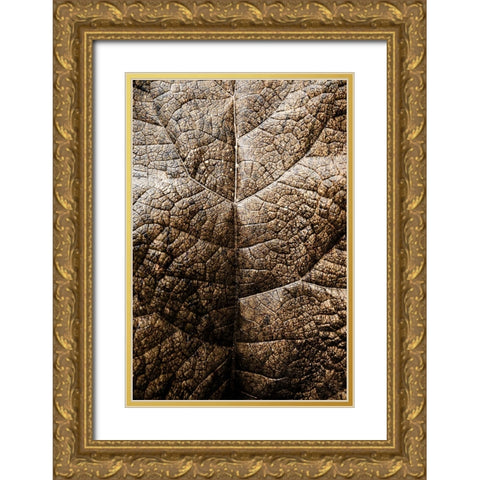 Foliage Textured 1 Gold Ornate Wood Framed Art Print with Double Matting by Lee, Rachel