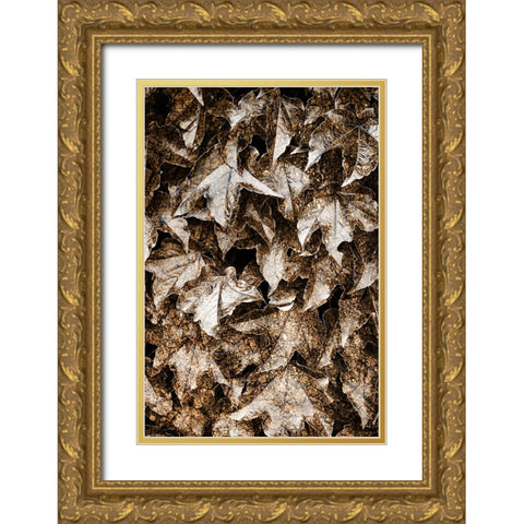 Foliage Textured 6 Gold Ornate Wood Framed Art Print with Double Matting by Lee, Rachel