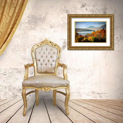 Forest Lake Gold Ornate Wood Framed Art Print with Double Matting by Lee, Rachel