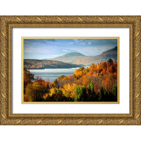 Forest Lake Gold Ornate Wood Framed Art Print with Double Matting by Lee, Rachel
