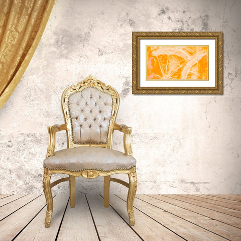 Fruit 1 Gold Ornate Wood Framed Art Print with Double Matting by Lee, Rachel