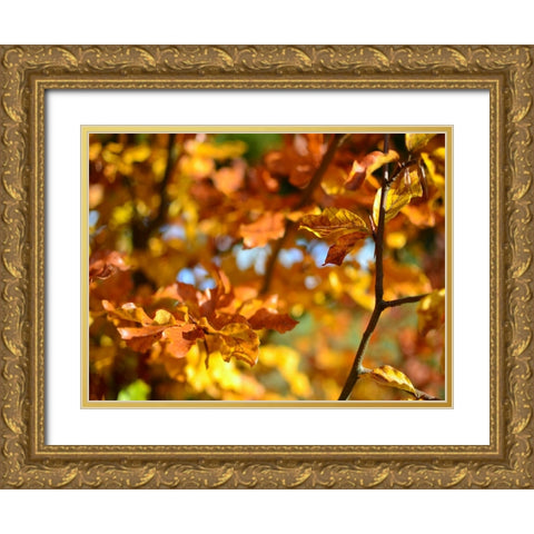 Leaves 15 Gold Ornate Wood Framed Art Print with Double Matting by Lee, Rachel