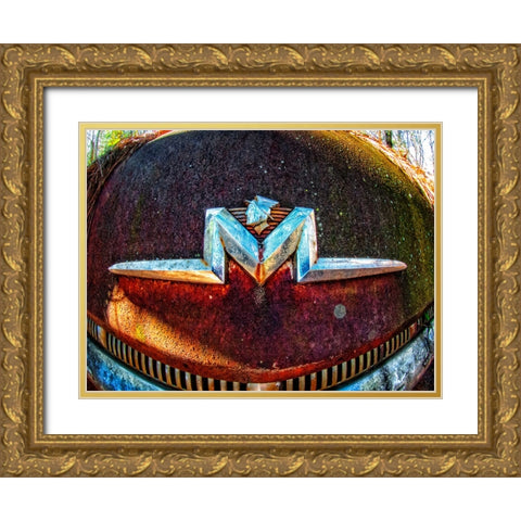 Mercury Gold Ornate Wood Framed Art Print with Double Matting by Lee, Rachel