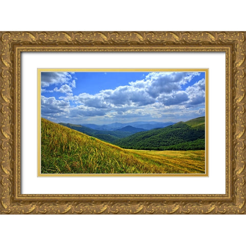 Mountain View 10 Gold Ornate Wood Framed Art Print with Double Matting by Lee, Rachel
