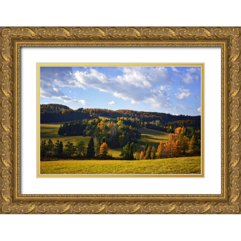 Mountain View 13 Gold Ornate Wood Framed Art Print with Double Matting by Lee, Rachel