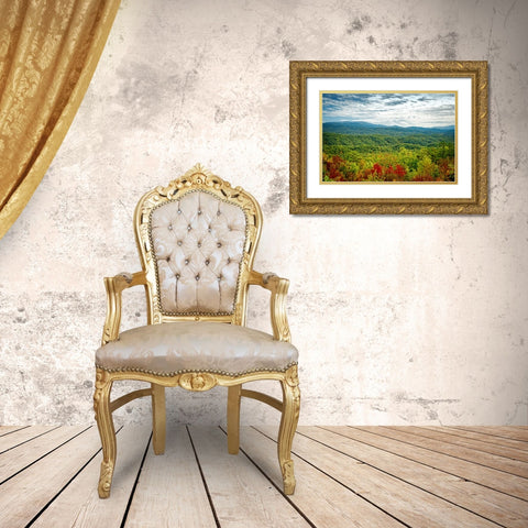 Mountain View 23 Gold Ornate Wood Framed Art Print with Double Matting by Lee, Rachel