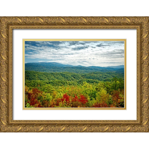 Mountain View 23 Gold Ornate Wood Framed Art Print with Double Matting by Lee, Rachel