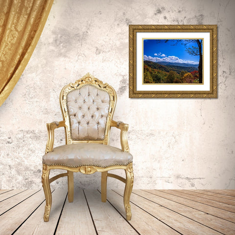 NC Fall Mountains 1 Gold Ornate Wood Framed Art Print with Double Matting by Lee, Rachel