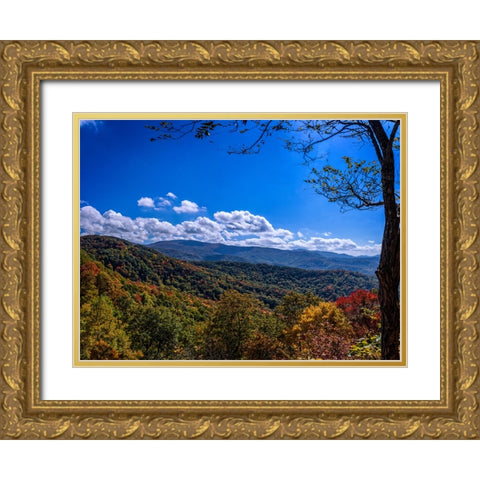 NC Fall Mountains 1 Gold Ornate Wood Framed Art Print with Double Matting by Lee, Rachel