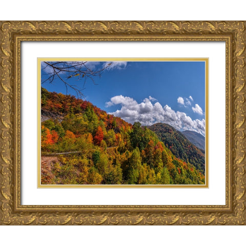 NC Fall Mountains 6 Gold Ornate Wood Framed Art Print with Double Matting by Lee, Rachel