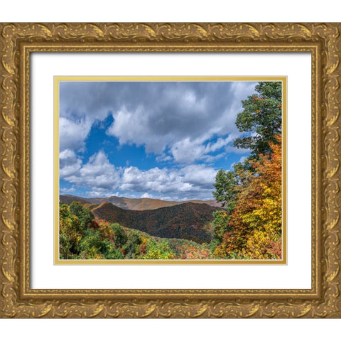 NC Fall Mountains 7 Gold Ornate Wood Framed Art Print with Double Matting by Lee, Rachel