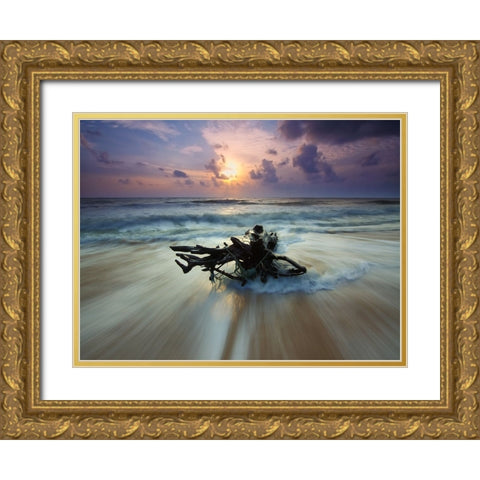 Ocean 28 Gold Ornate Wood Framed Art Print with Double Matting by Lee, Rachel