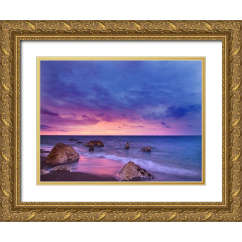 Ocean 33 Gold Ornate Wood Framed Art Print with Double Matting by Lee, Rachel