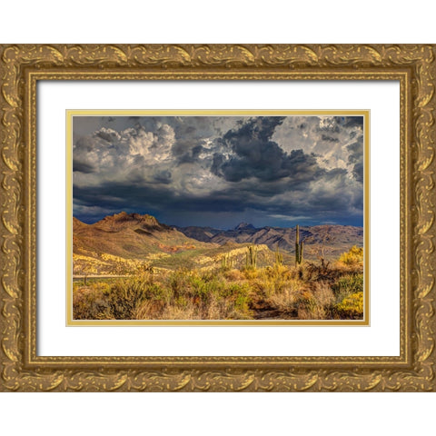 Southwest 7 Gold Ornate Wood Framed Art Print with Double Matting by Lee, Rachel