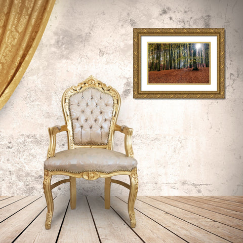 Trees 10 Gold Ornate Wood Framed Art Print with Double Matting by Lee, Rachel