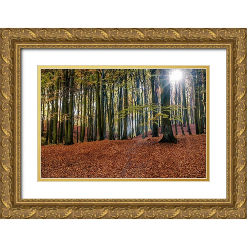Trees 10 Gold Ornate Wood Framed Art Print with Double Matting by Lee, Rachel