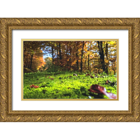 Trees 25 Gold Ornate Wood Framed Art Print with Double Matting by Lee, Rachel