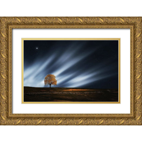 Trees 30 Gold Ornate Wood Framed Art Print with Double Matting by Lee, Rachel