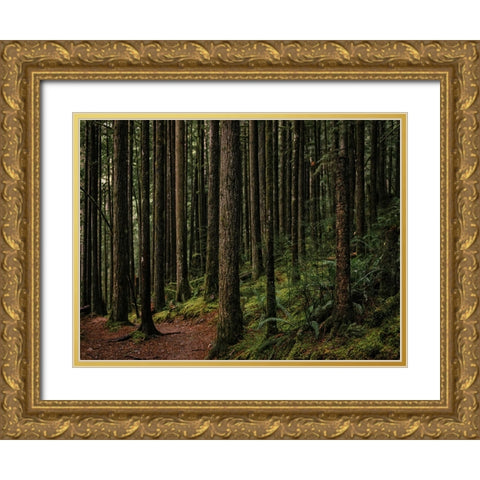 Trees 56 Gold Ornate Wood Framed Art Print with Double Matting by Lee, Rachel