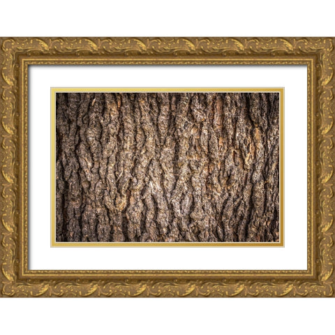 Trees 6 Gold Ornate Wood Framed Art Print with Double Matting by Lee, Rachel