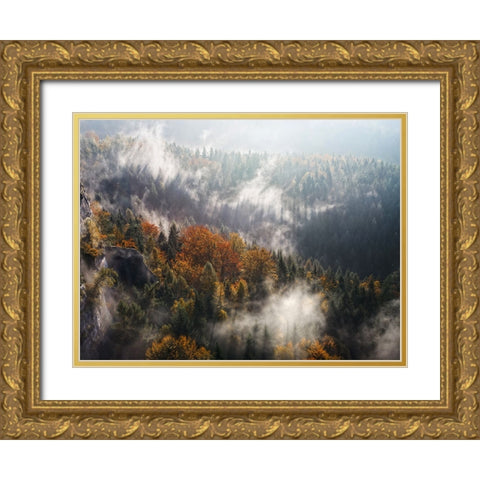 Trees 64 Gold Ornate Wood Framed Art Print with Double Matting by Lee, Rachel