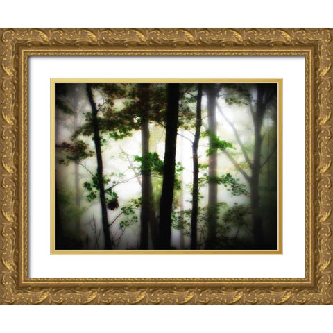 Trees 66 Gold Ornate Wood Framed Art Print with Double Matting by Lee, Rachel